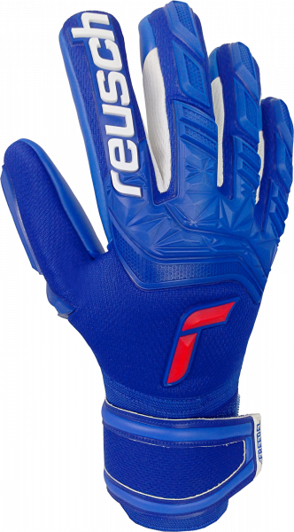 Reusch Attrakt Freegel Silver 5170235 4010 blue front